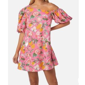 Crosby by Mollie Burch Raleigh Dress in Paros, Large